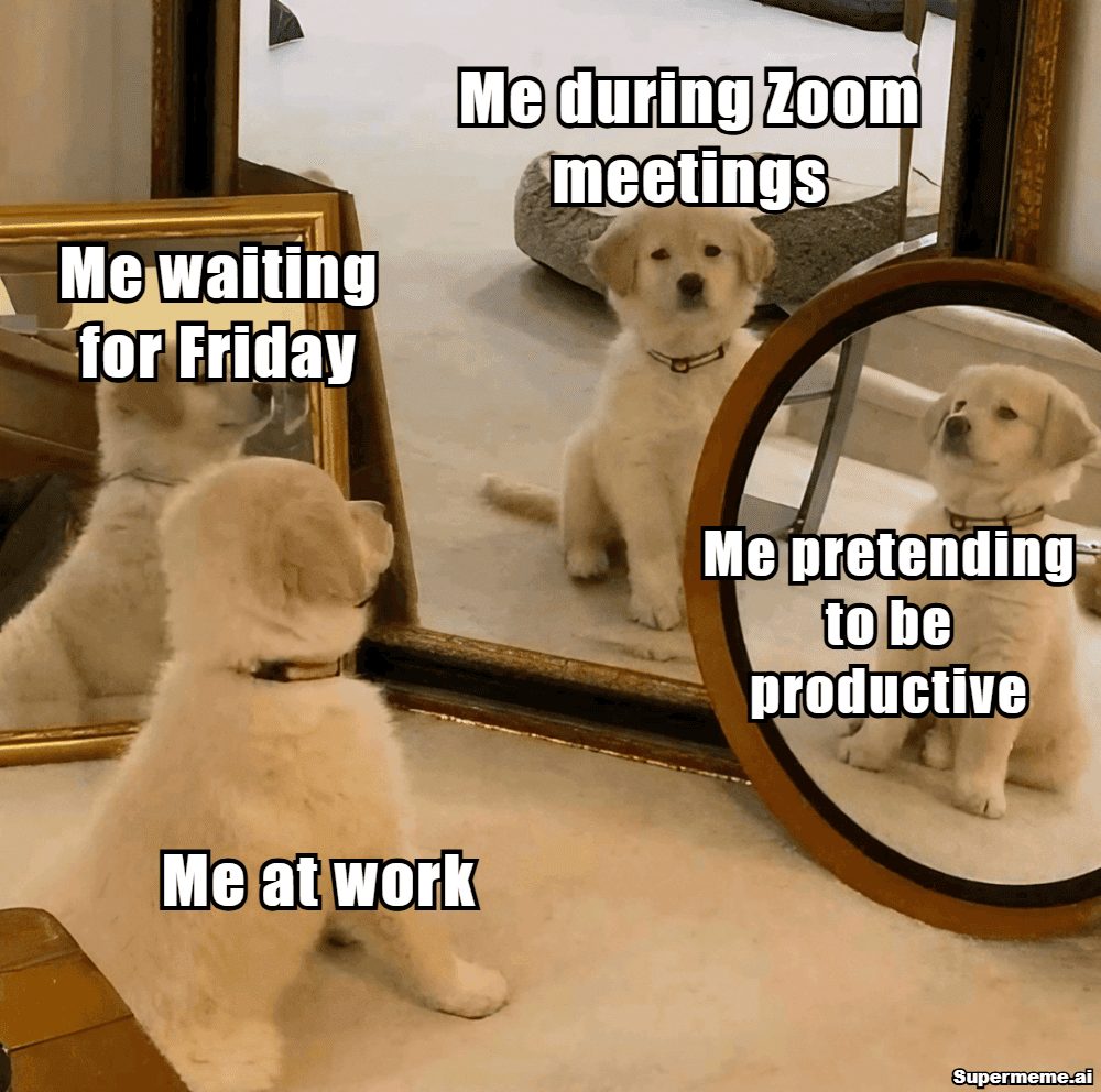 Work meme showing four versions of a cat: me at work, me waiting for Friday, me during Zoom meetings, and me pretending to be productive