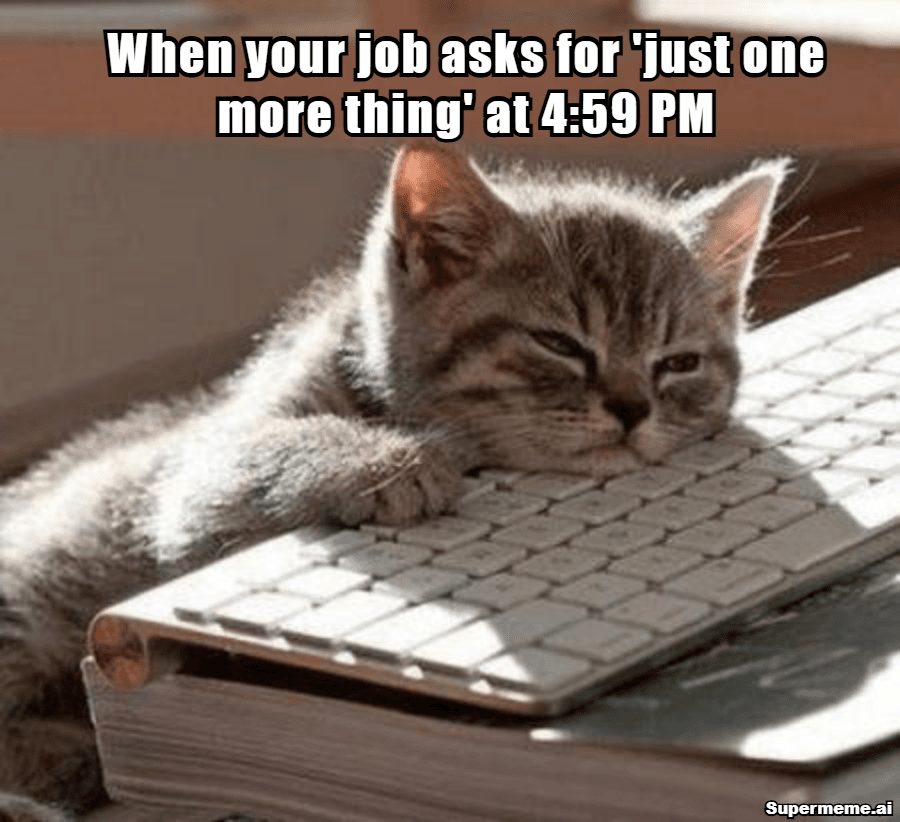 Work meme showing a sleepy cat on a keyboard when the job asks for one more thing at 4:59 PM