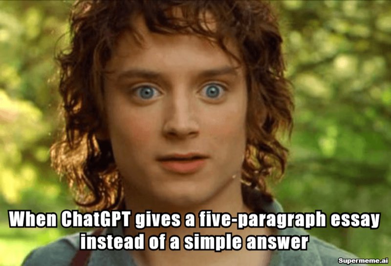 chatgpt meme — The simple yes-or-no question, and the five paragraphs it summoned.