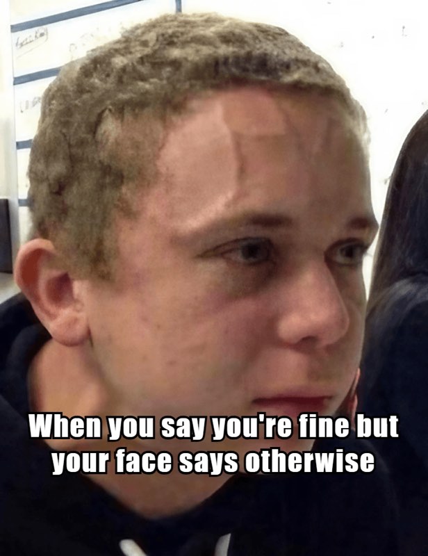 crying meme — The “no yeah, I’m totally fine” face, holding on by a single thread.