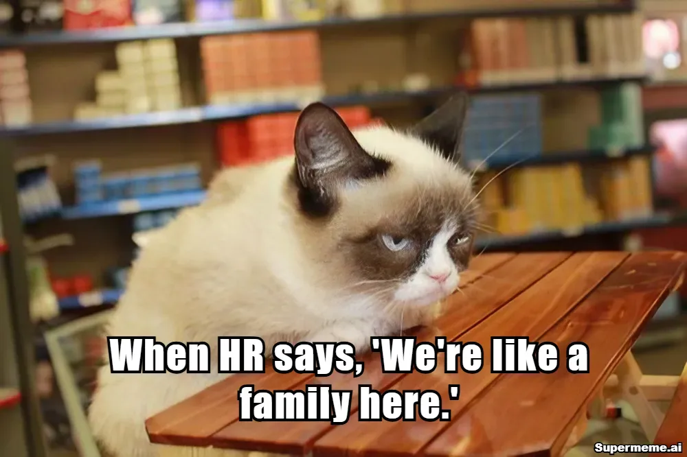 funny hr meme 1