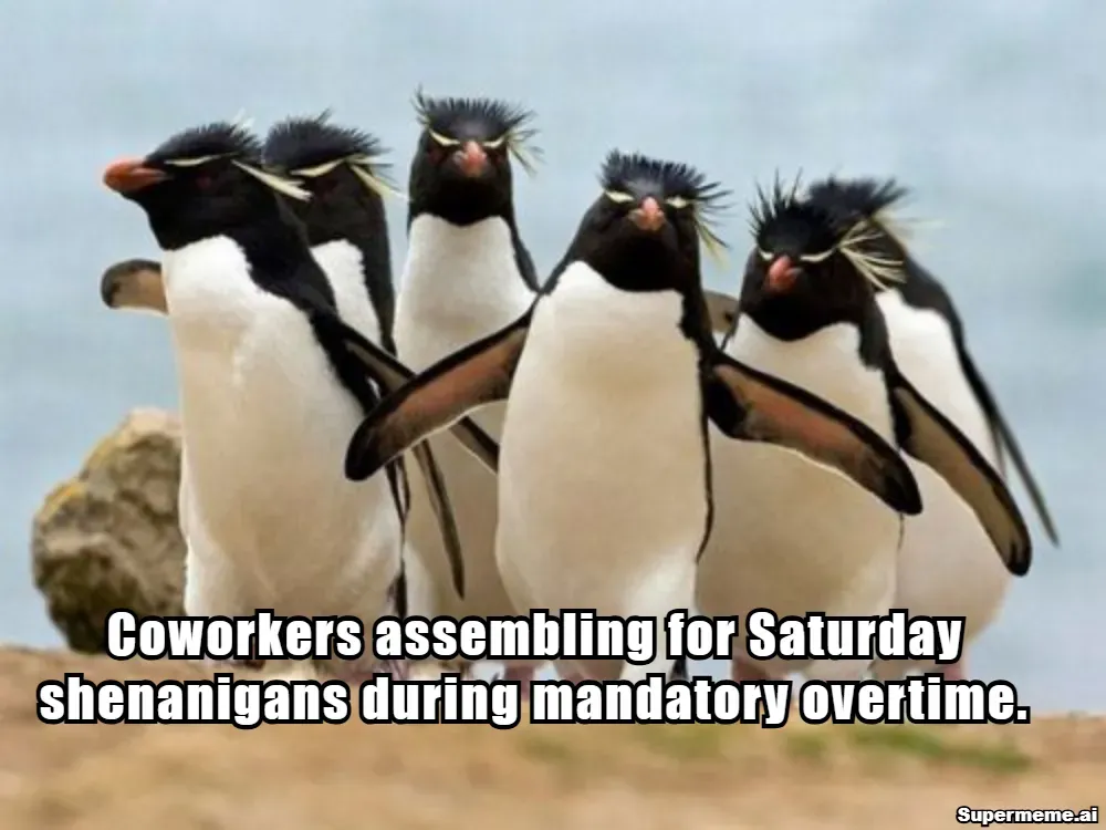 funny saturday work meme 1