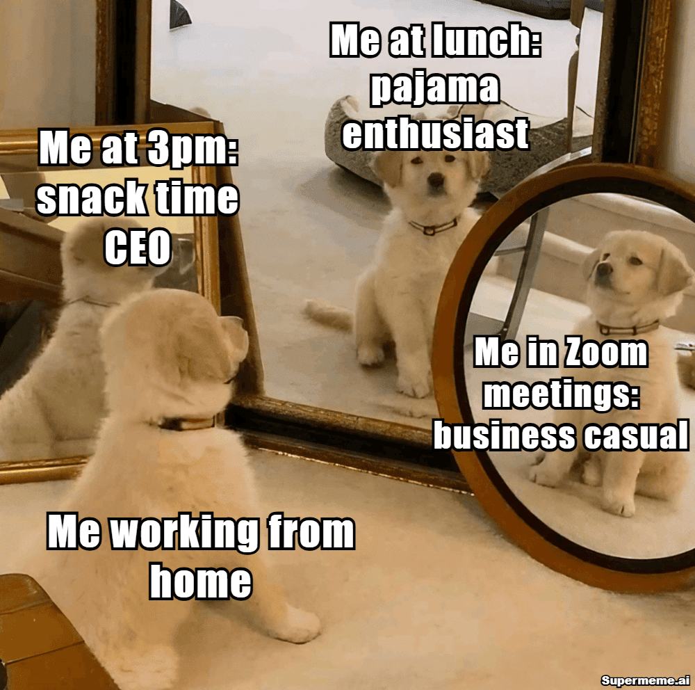 Work from home meme showing me at work, at lunch as a pajama enthusiast, at 3 PM as snack-time CEO, and in Zoom meetings as business casual