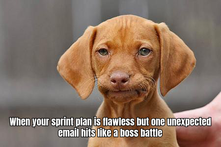 funny product manager meme 115